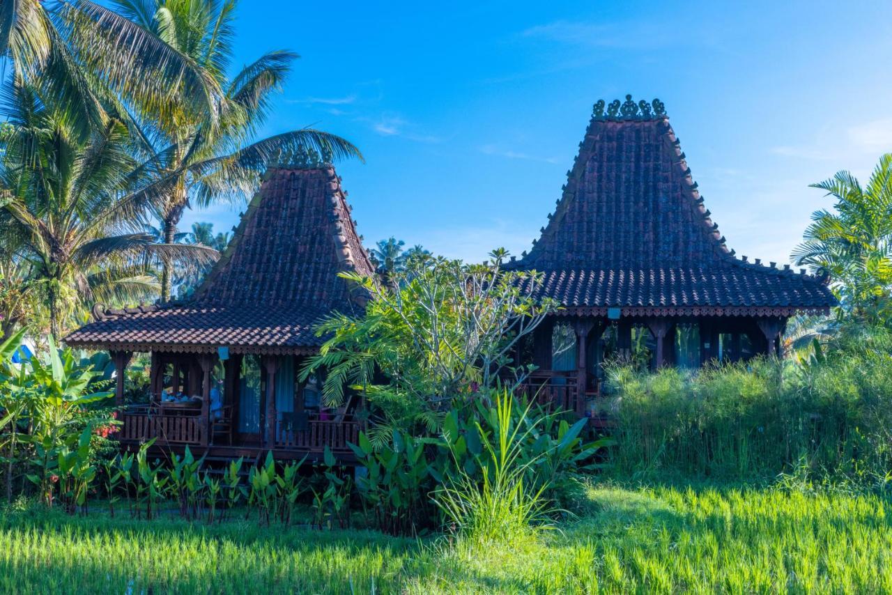 Villa Neyang Ubud Kültér fotó