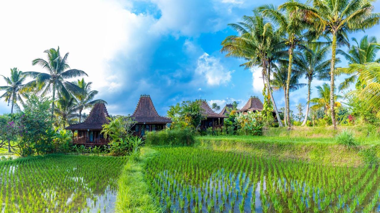 Villa Neyang Ubud Kültér fotó