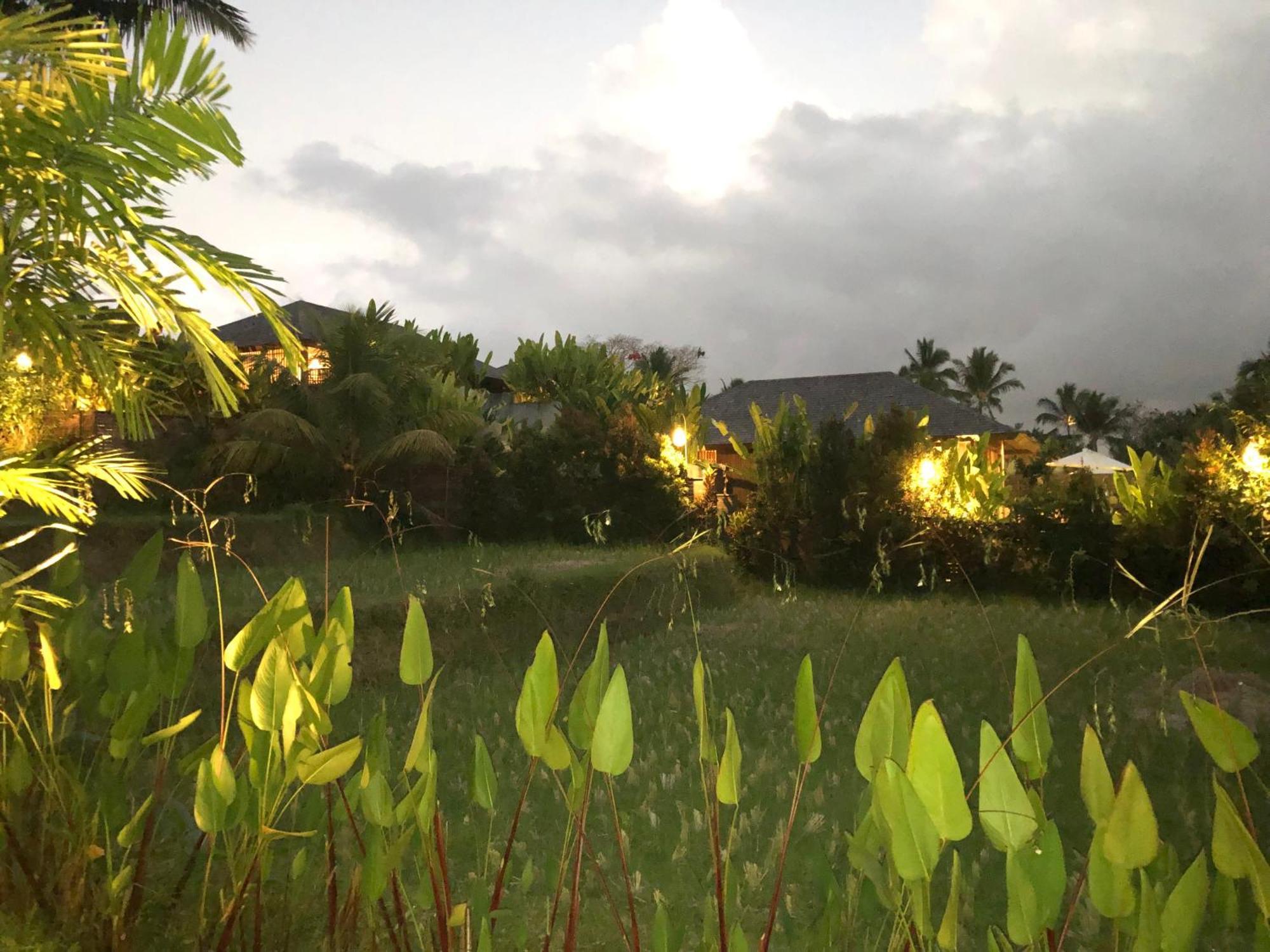 Villa Neyang Ubud Kültér fotó