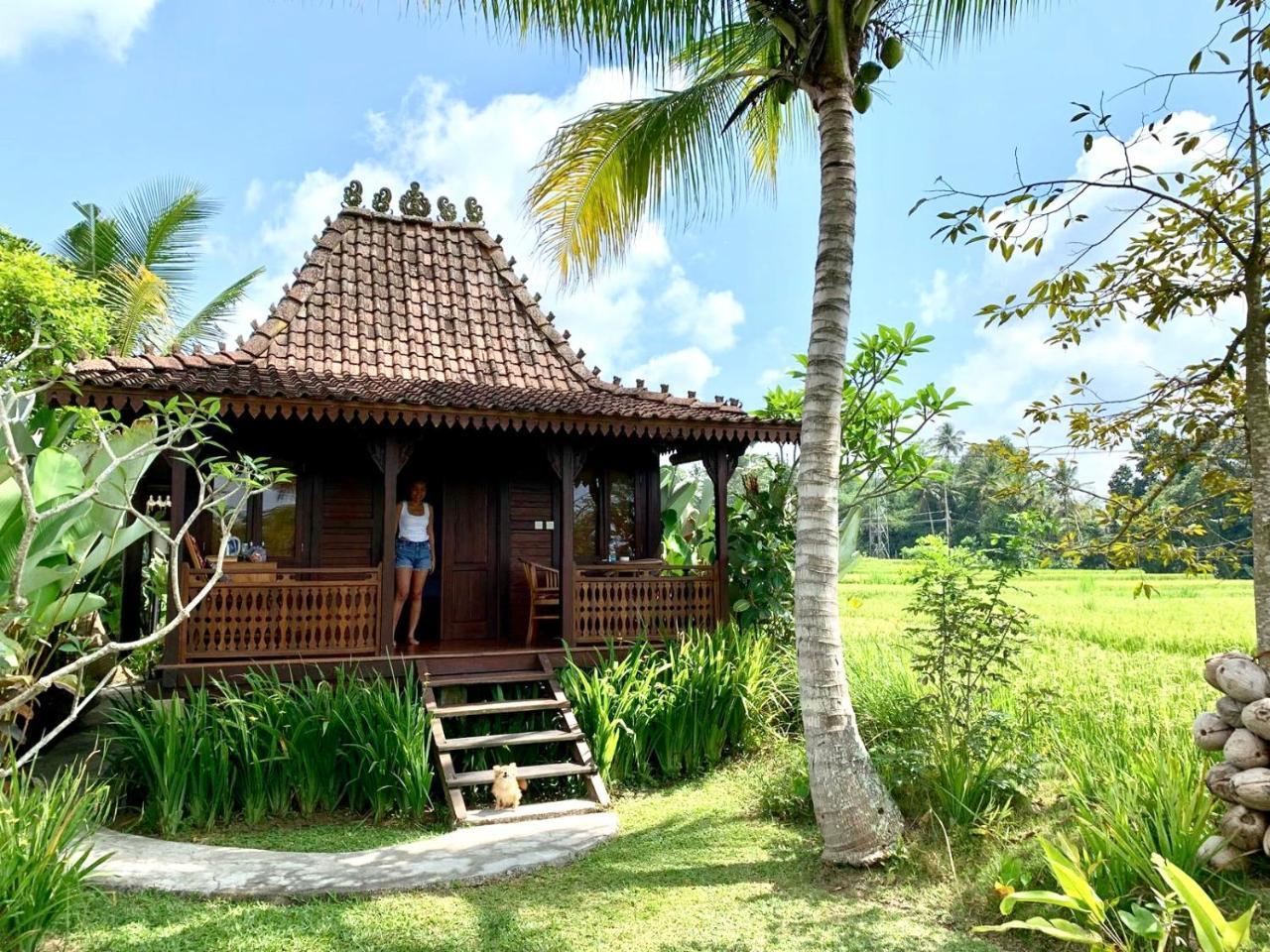 Villa Neyang Ubud Kültér fotó