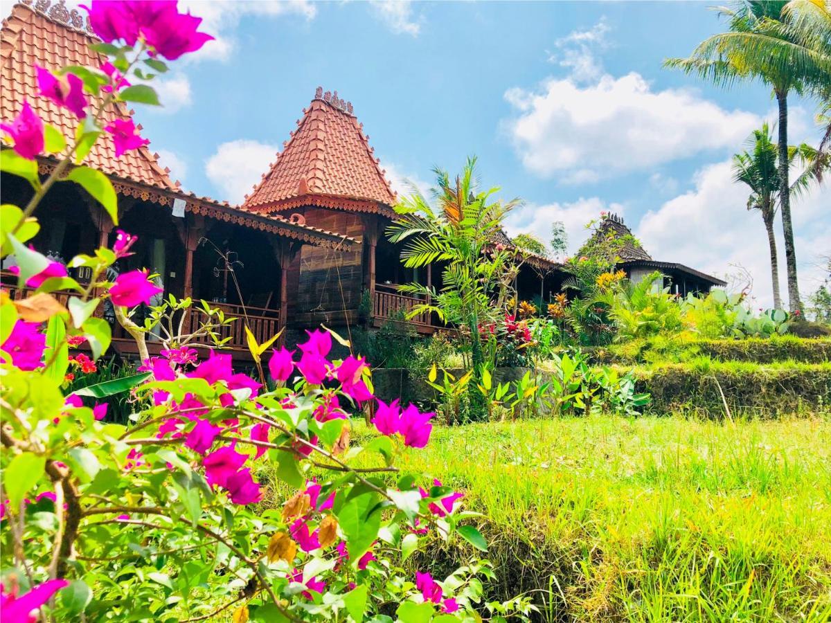 Villa Neyang Ubud Kültér fotó